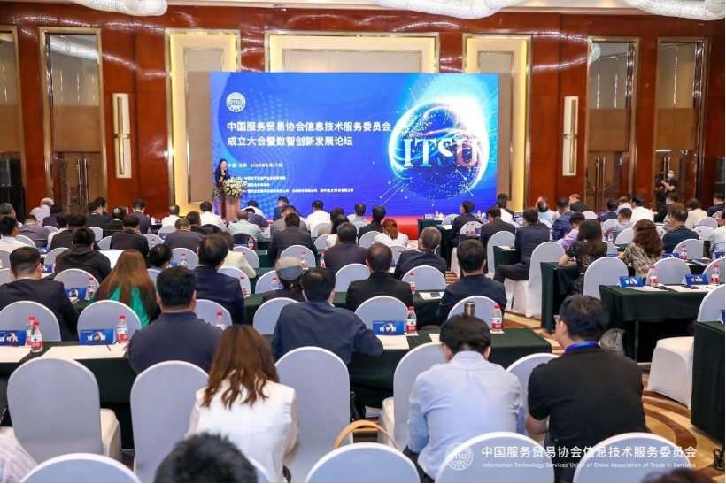 把握时代机遇，共绘美好蓝图 中国服务贸易协会信息技术服务委员会正式成立
